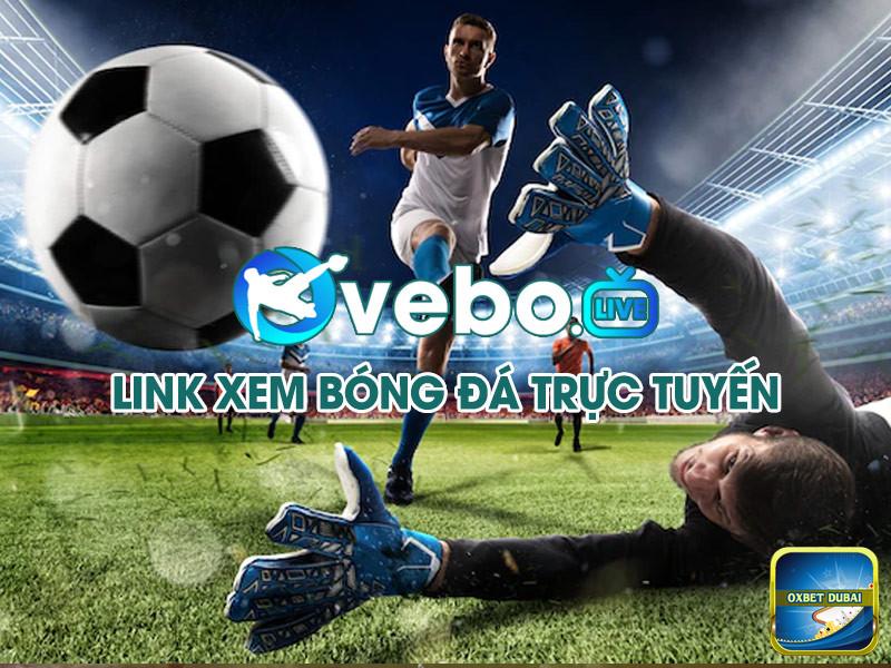 Hướng dẫn xem các trận bóng đá trực tiếp trên kênh Vebotv 