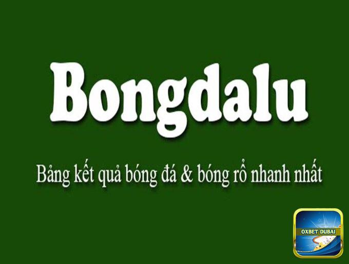 Số lượng người truy cập Bongdalu đang không ngừng tăng cao mỗi ngày
